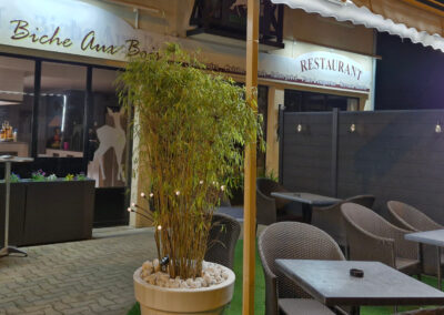 Restaurant La Biche aux Bois - Yerres - Essonne 15